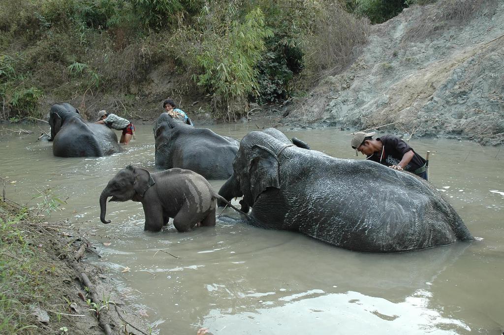 Amazing Kaytu Hotell Taungoo Exteriör bild